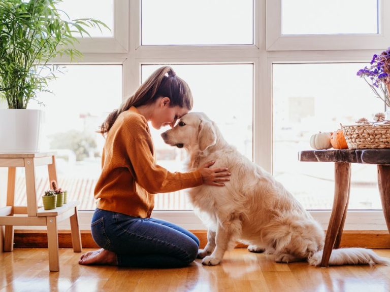 Is Your Pet Part of Your Estate Planning
